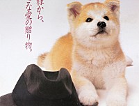 [百度云][日本][1987][忠犬八公物语 ハチ公物語][ 山本圭 / 井川比佐志 / 片桐][6.86G]