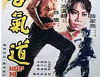 合气道 (1972) 国语 高清 中英双字幕 百度网盘