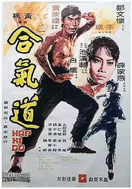 合气道 (1972) 国语 高清 中英双字幕 百度网盘