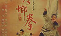 [2003][中国][螳螂拳][苗乙乙/钱泳辰/宋春丽][飞仕影音&TVBI][国语中字][20VCD-DAT/8.10GB]