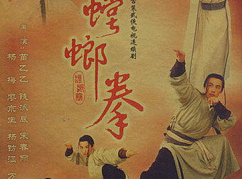 [2003][中国][螳螂拳][苗乙乙/钱泳辰/宋春丽][飞仕影音&TVBI][国语中字][20VCD-DAT/8.10GB]