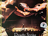 [1978][最佳搏杀][刘家辉/秦沛/李琳琳/石天/冯克安][飞仕影音][国语中英文字幕][VCD-DAT/808MB]